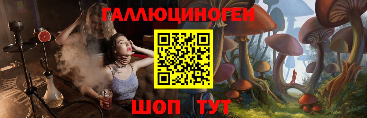 Псилоцибиновые грибы мухоморы Волгоград