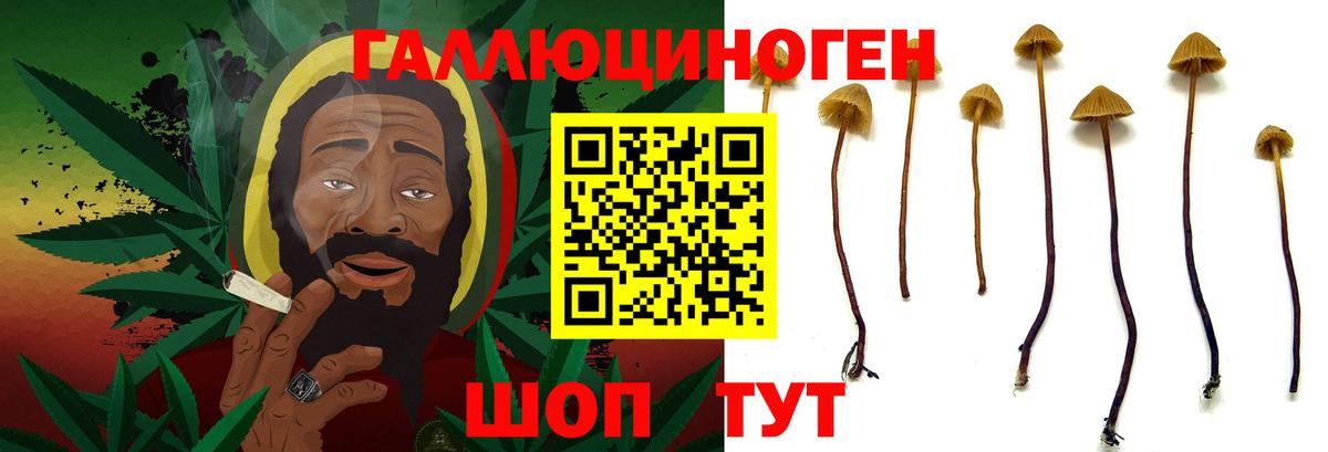 купить наркотики цена  Вход с VPN  Волгоград  Псилоцибиновые грибы мухоморы 